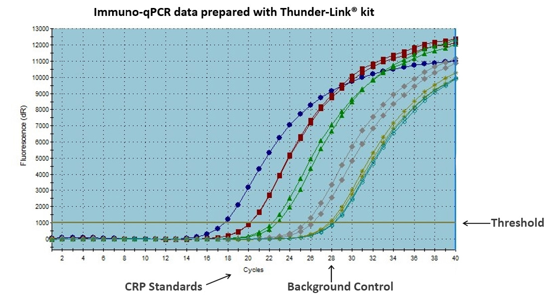 Thunder-Link® PLUS 寡核苷酸标记试剂盒