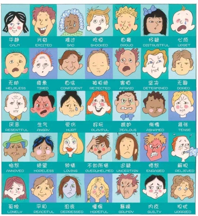 她，隐瞒硕士学历来到幼儿园，却给了孩子最真实的教育