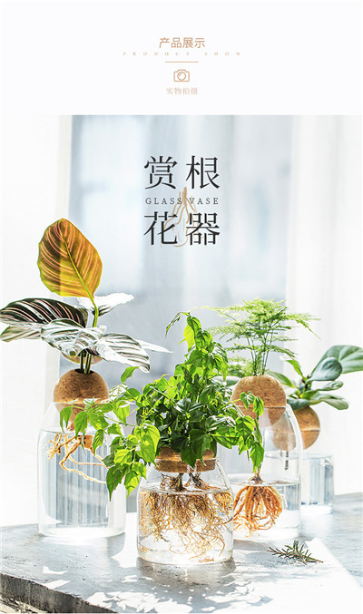 日式简约玻璃花瓶_透明水培植物花器