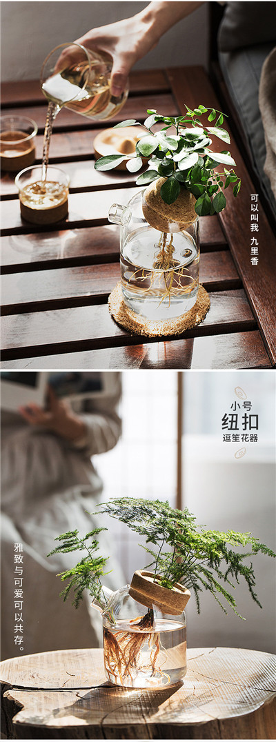 日式简约玻璃花瓶_透明水培植物花器
