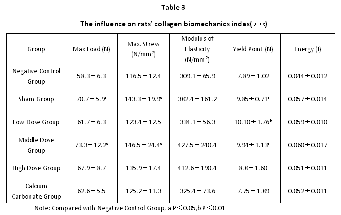 Functional Experiment: <Protective Mechanism Effect of Collagen Type II on Various Bone Problems>