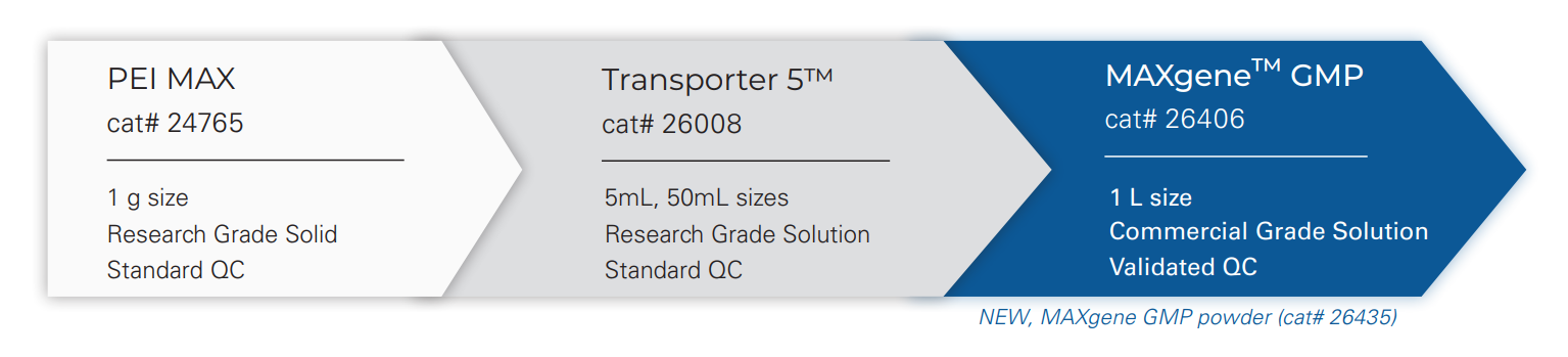 Transporter 5 Transfection Reagent