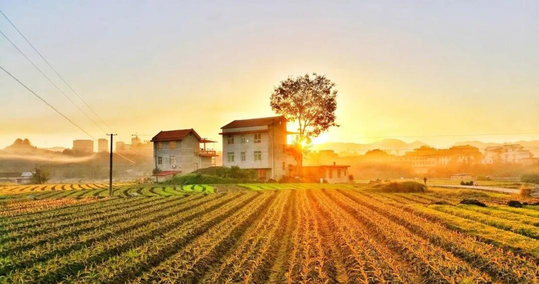 农村新规!政府两部门通知:保障村民住宅用地,不得强制农民搬迁和上楼居住 农村新规!政府两部门通知:保障村民住宅用地,不得强制农民搬迁和上楼居住