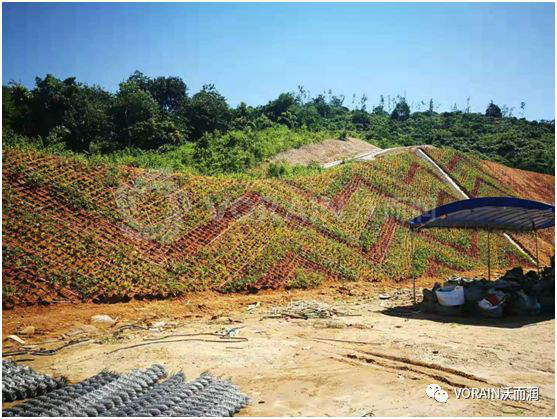 加强土壤污染防治,建设美好人居环境 加强土壤污染防治,建设美好人居环境