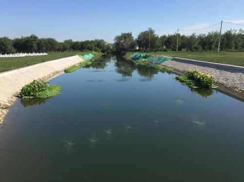 黑臭河道治理該注意什么?黑臭河道治理有哪些難點? 黑臭河道治理該注意什么?黑臭河道治理有哪些難點?