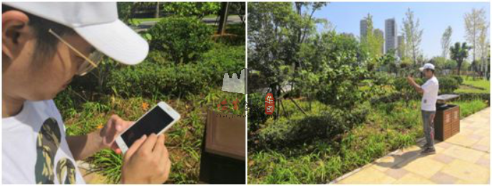 智慧養護解決方案 智慧養護解決方案