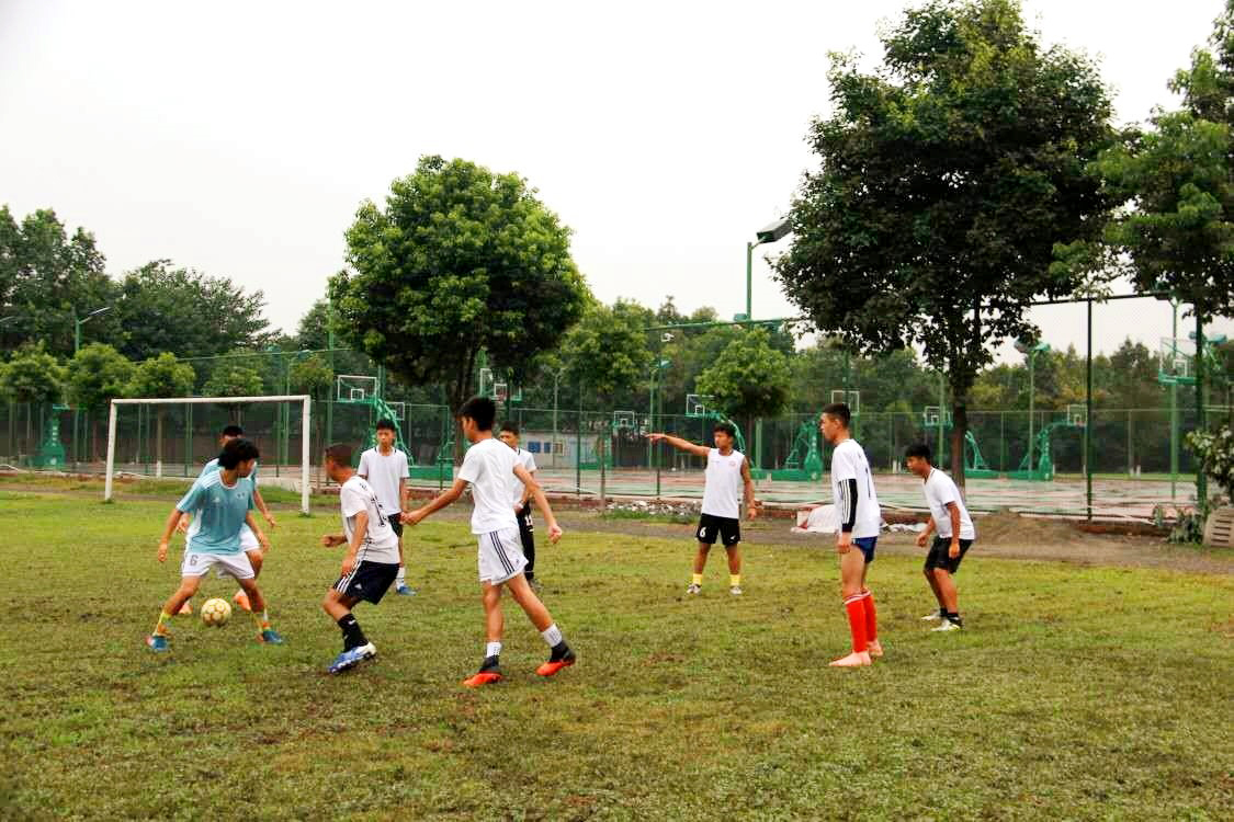 快来围观 子仪来我校了 快来围观 子仪来我校了