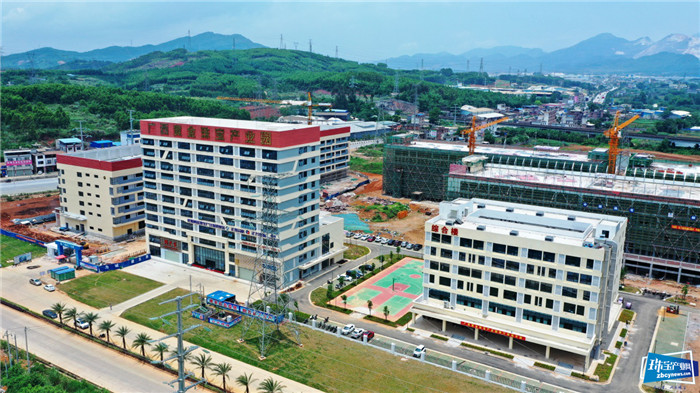 栽下梧桐树 引来金凤凰 凤锦珠宝开业庆典在广西黄金珠宝产业园举行 栽下梧桐树 引来金凤凰 凤锦珠宝开业庆典在广西黄金珠宝产业园举行