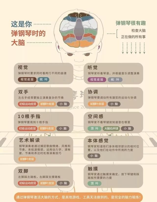 那么多乐器，为什么要选钢琴？