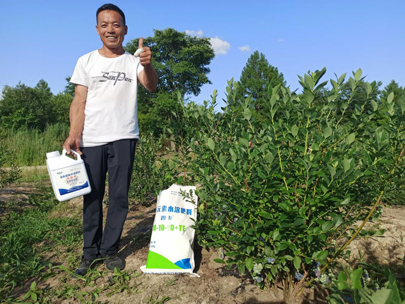 水溶肥價格高低對作物產量有哪些影響？