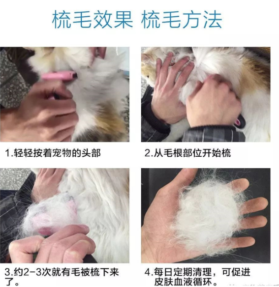 【宠物生病咨询】如何梳理狗狗的毛发比较合适? 【宠物生病咨询】如何梳理狗狗的毛发比较合适?