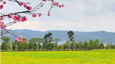 华南 | 东莞龍潛学校:期待新教师的加入 华南 | 东莞龍潛学校:期待新教师的加入