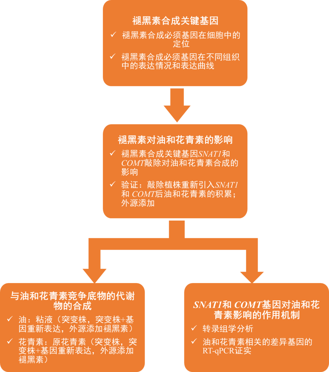 客户文献 | 褪黑素抑制种子油和花青素的积累 客户文献 | 褪黑素抑制种子油和花青素的积累