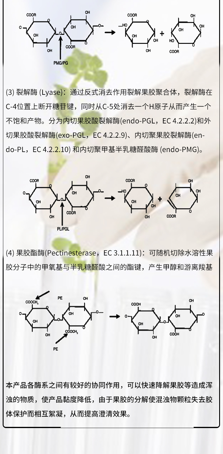 夏盛固体食品级果胶酶30万酶活(降黏/提高超滤速度)FDG-2259