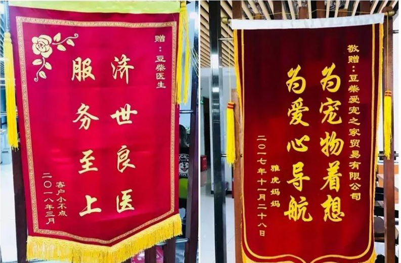 【在线宠物咨询】给猫就医可以不花钱吗?著名宠物医生在线解答 【在线宠物咨询】给猫就医可以不花钱吗?著名宠物医生在线解答