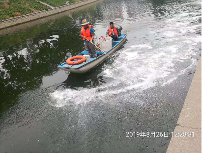 2019北京河湖水华防治项目