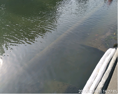 2019北京河湖水华防治项目