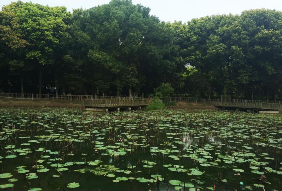 三圣乡游记 三圣乡游记