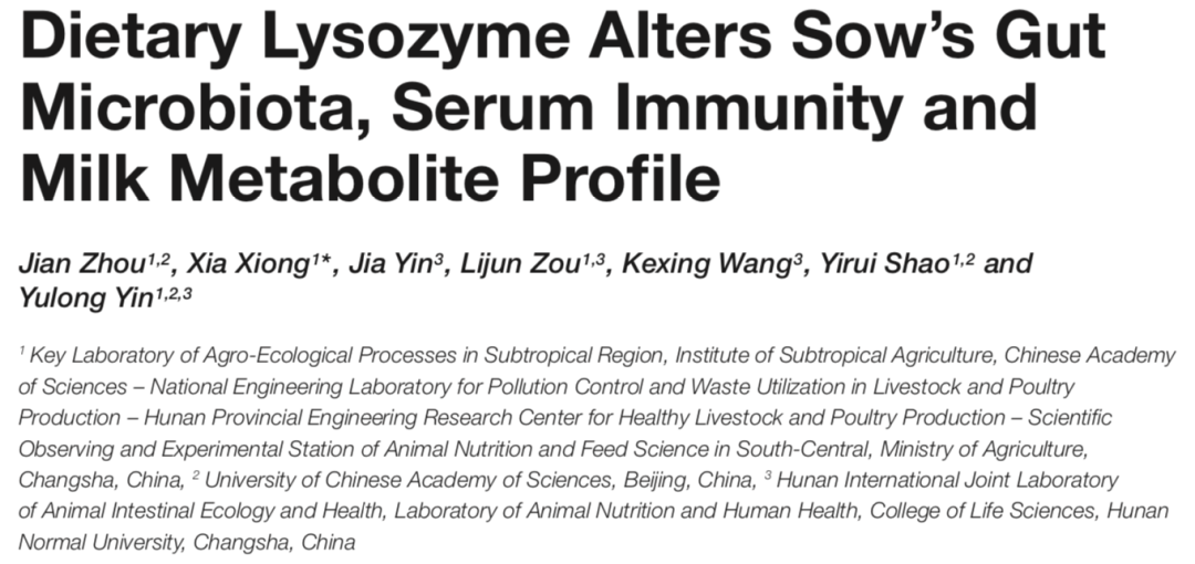 客户文献 | 溶菌酶改变母猪肠道菌群、血清免疫和乳汁代谢图谱