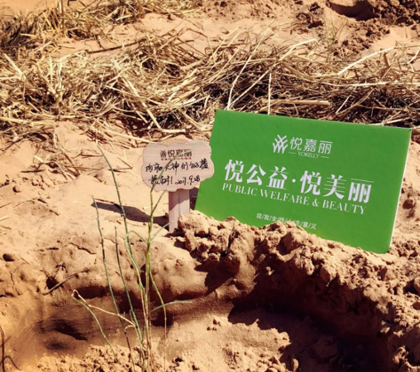 爱无界 · 善无边 |【慈善之美】嘉悦国际与恒晖公益携手