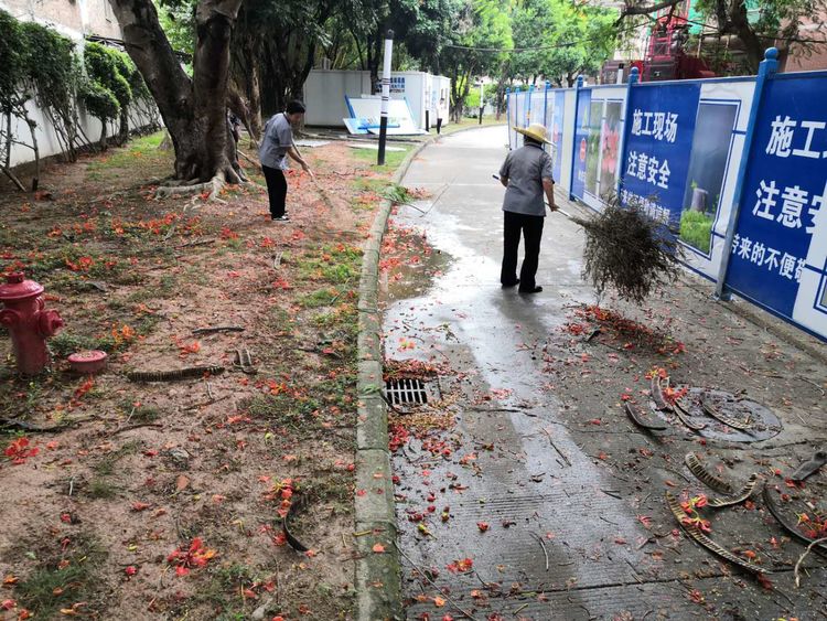 台风过后,谁来还我们漂亮如初的生活环境 台风过后,谁来还我们漂亮如初的生活环境