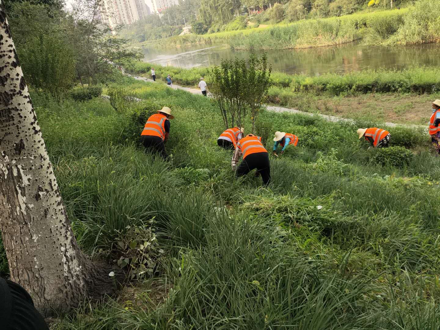 凉水河养护第二标段