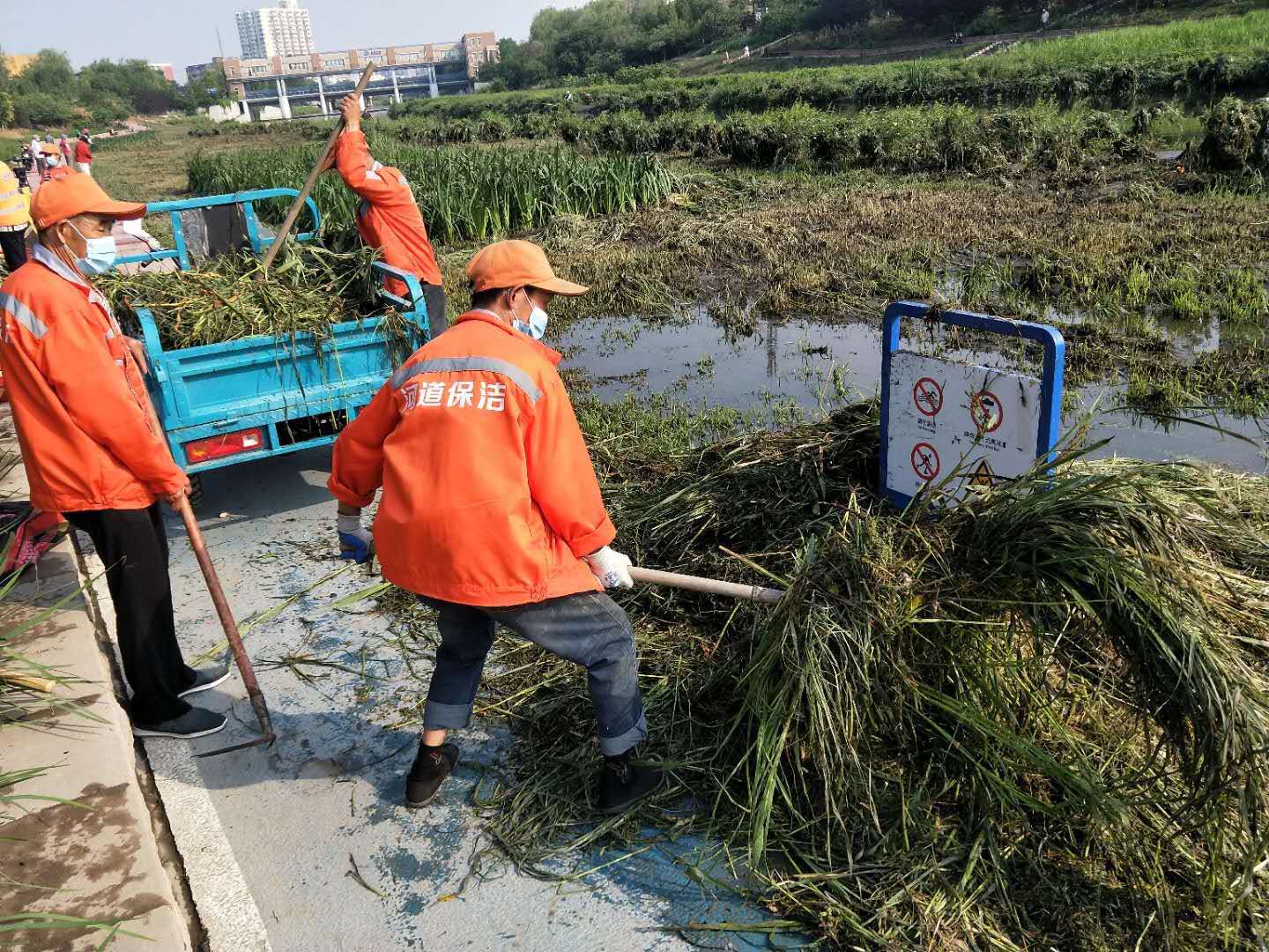 凉水河养护第二标段