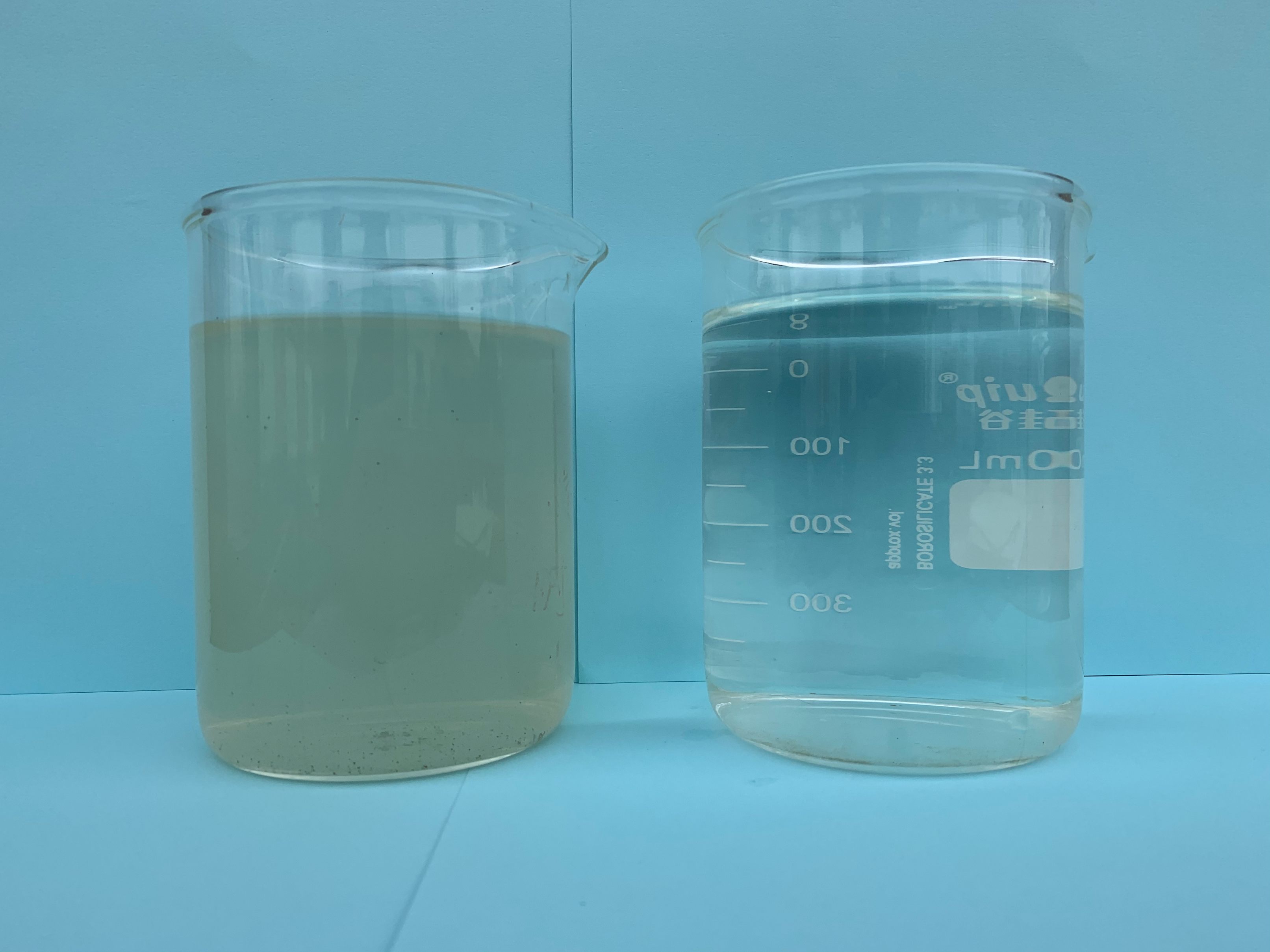 向阳闸水质提升项目