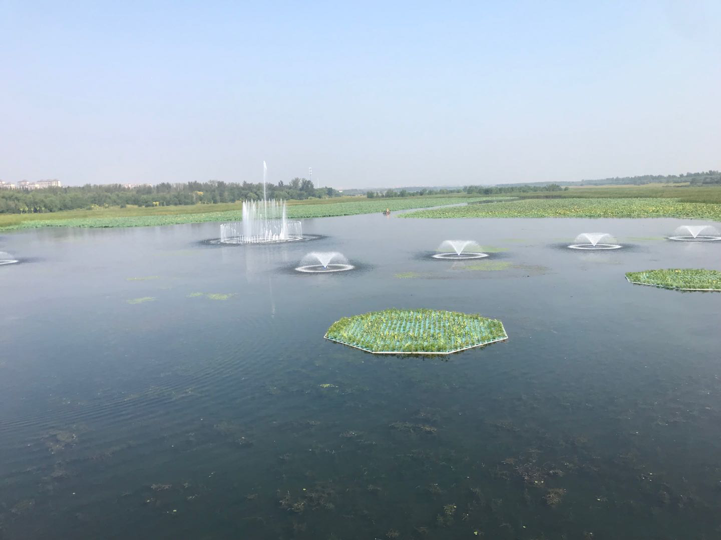 向阳闸水质提升项目