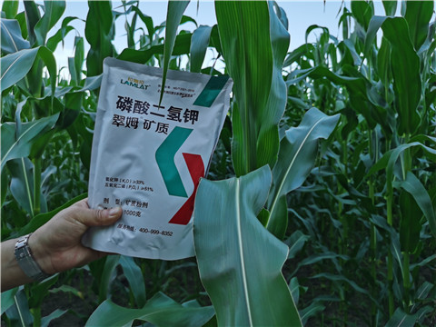 磷酸二氢钾有哪些主要优势？