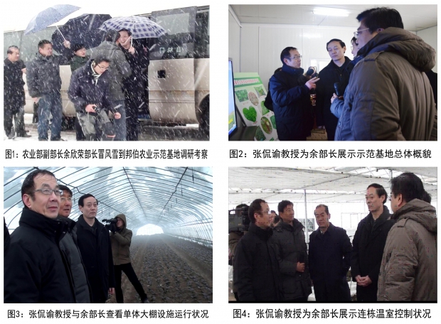 农业部副部长余欣荣莅临邦伯现代农业示范基地 农业部副部长余欣荣莅临邦伯现代农业示范基地