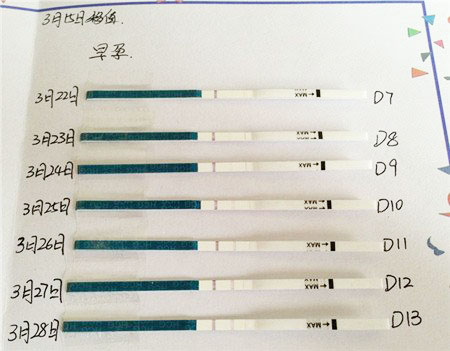 我的试管之路 我的试管之路