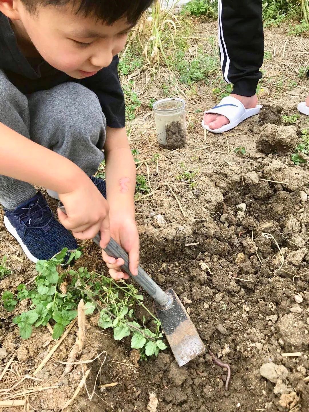 幼升小行学手册