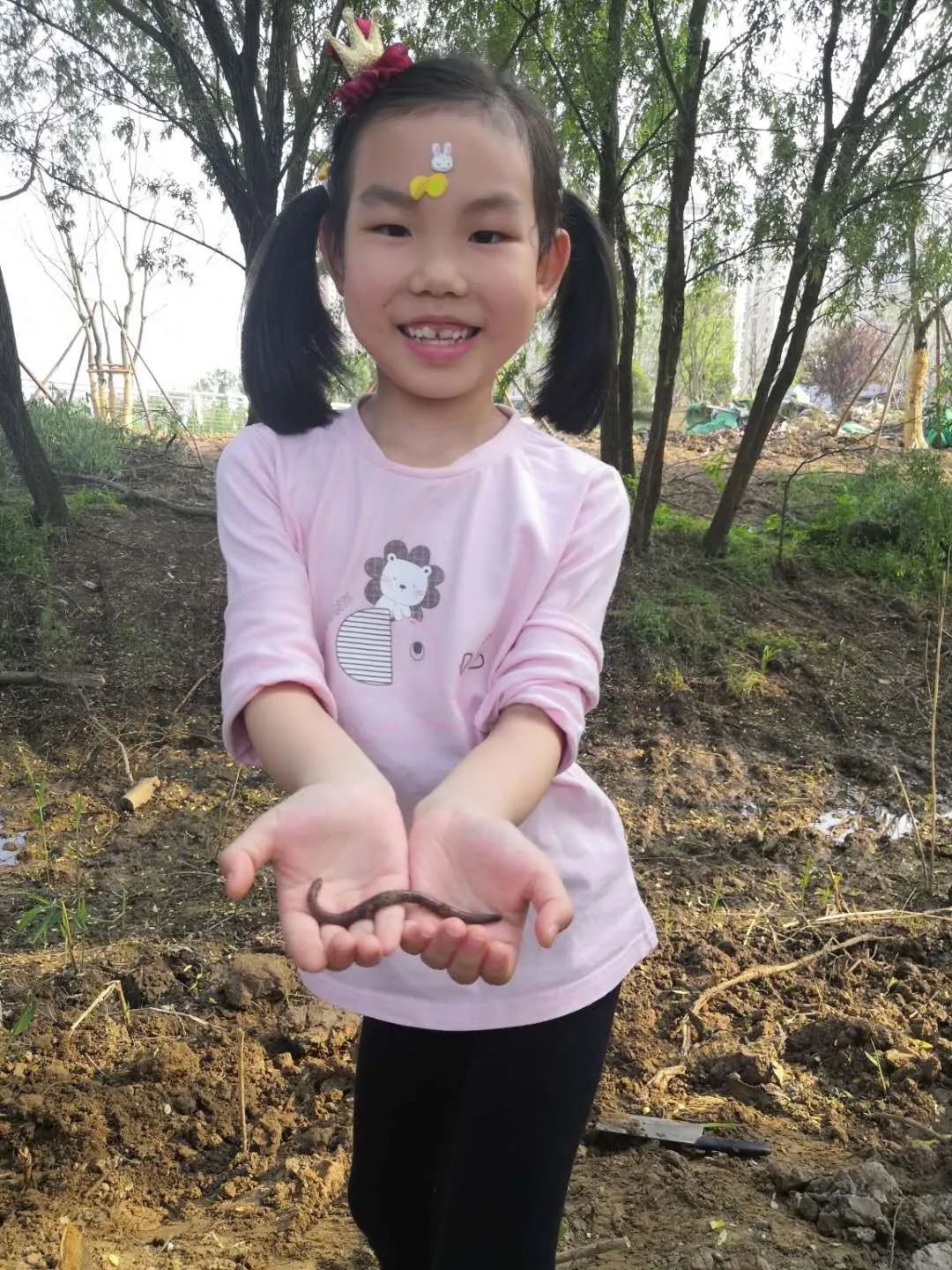 幼升小行学手册