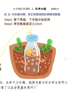 幼升小行学手册