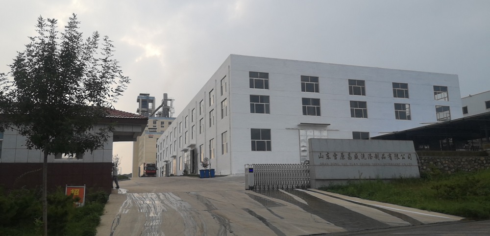 二期年产10万吨洗衣粉项目开工建设