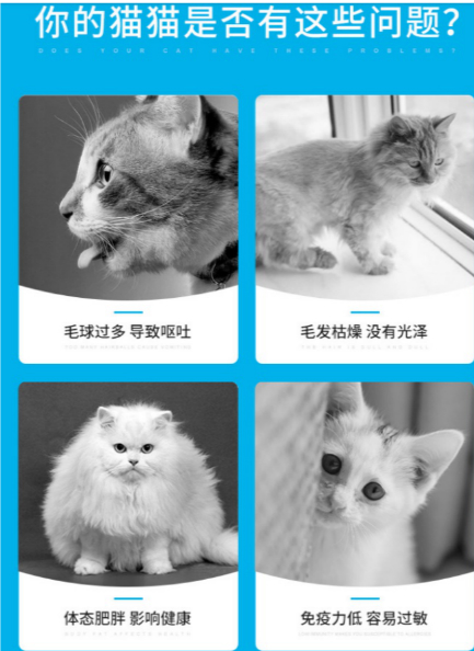 【宠物在线咨询】吃猫粮有哪些优势,有哪些可以选择? 【宠物在线咨询】吃猫粮有哪些优势,有哪些可以选择?