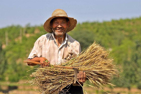 农业部发布2013年系列惠农政策