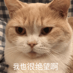 【在线宠物医生】为什么猫咪明明吃得很多,却不见长胖呢? 【在线宠物医生】为什么猫咪明明吃得很多,却不见长胖呢?