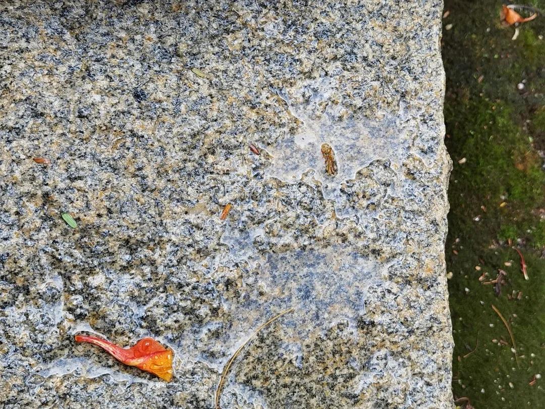 三百而已|在快的城市回归一种 三百而已|在快的城市回归一种
