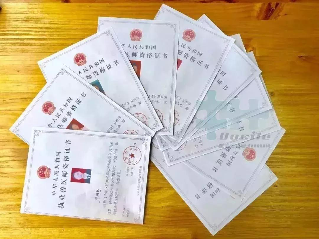 【宠物咨询】有没有在线宠物医生之类的服务? 【宠物咨询】有没有在线宠物医生之类的服务?