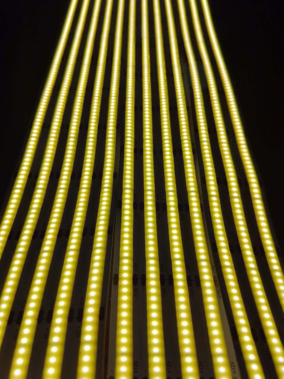 COB STRIP
