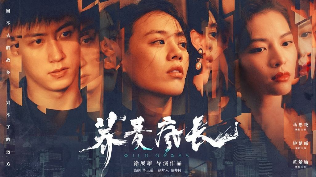 影视项目:七夕适合情侣看的6部电影,一部比一部高甜! 影视项目:七夕适合情侣看的6部电影,一部比一部高甜!