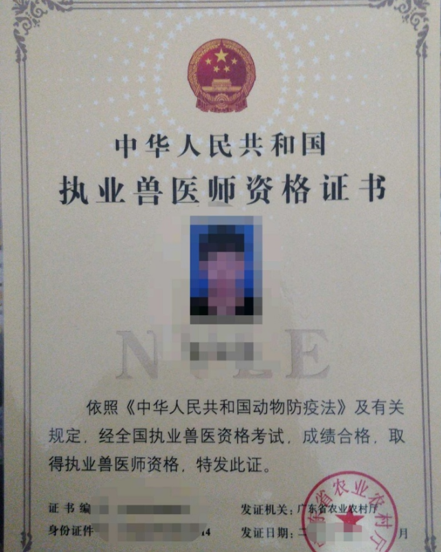 【宠物咨询】在线宠物医生,限时免费咨询 【宠物咨询】在线宠物医生,限时免费咨询