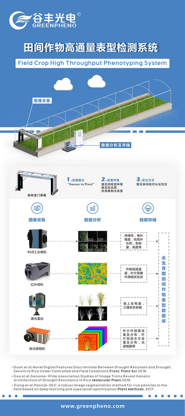 “红星杨科技”智能科技引领现代农业自动化，助力高端装备