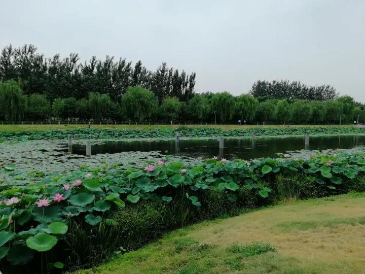 7月最美就差你1票|中建利源摄影大赛