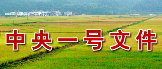 2016年中央一号文件 2016年中央一号文件