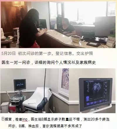 有一种后悔药叫做冻卵 有一种后悔药叫做冻卵
