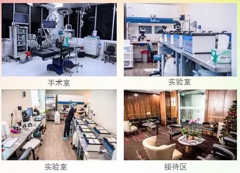 有一种后悔药叫做冻卵 有一种后悔药叫做冻卵