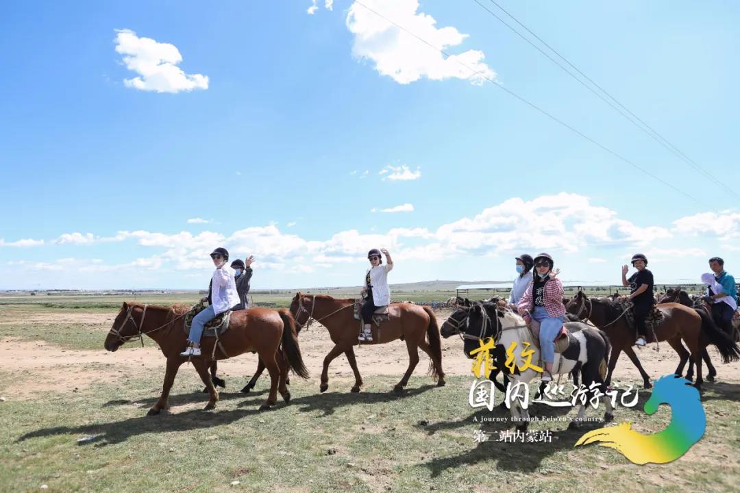 菲纹巡游记|第二站「内蒙站」
